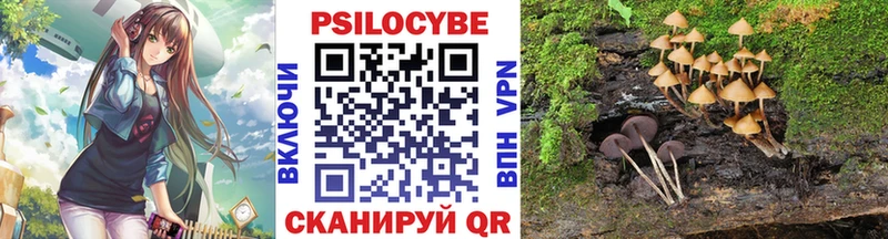 где можно купить наркотик  Болхов  Галлюциногенные грибы Cubensis 